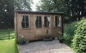 Owl Lodge