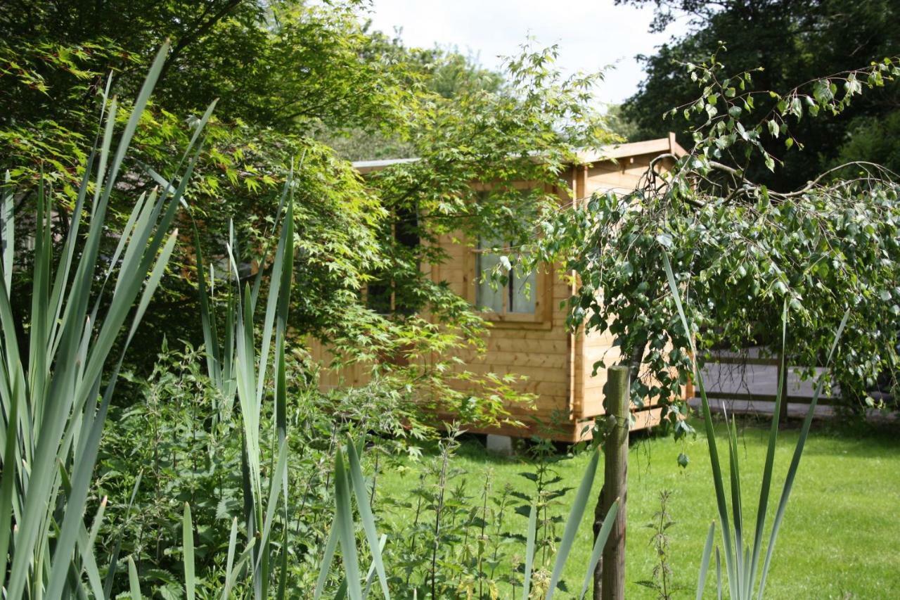 Owl Lodge Cowling Exterior photo